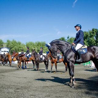 Логотип @dclduwjojrxlzjcy - ГБУ ДО КК «СШОР по конному спорту»