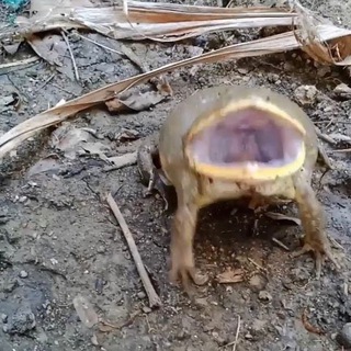 Логотип @dddniwe - не знаю