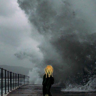 Логотип @ddm_pictura - DDM Pictura