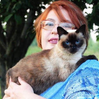 Логотип @ddppodvorie - Приют-подворье для животных Дом Добра