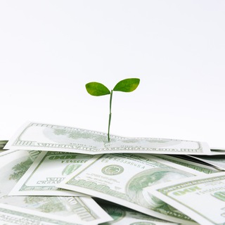 Логотип @ddvigg - Денежный Движ | Бизнес идеи