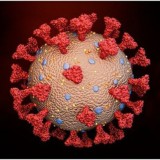 Логотип @de_covidvaccinevictims - Corona Impfschäden 🇩🇪 🇦🇹 🇨🇭 🇱🇮▪Allgemeine Informationen
