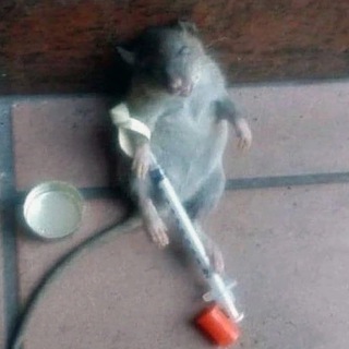 Логотип @deadandlifes - Саморазрушение