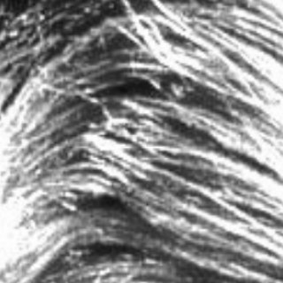 Логотип @deadelectroeb - Призрак электроеба