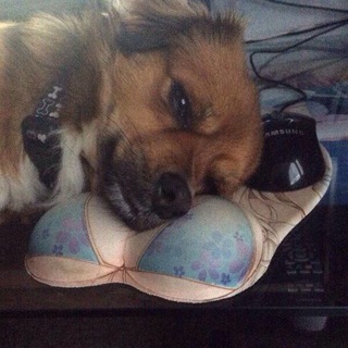 Логотип @deadskiii - трэп хата