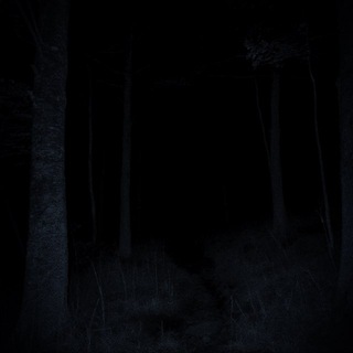 Логотип @deathlywaltz - deathlywaltz