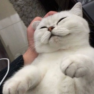 Логотип @debils_edits - Сохранёнки | Музыка | Цитаты◽