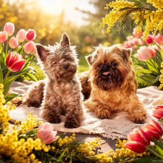 Логотип @ded_griffon - Гэна, Бублик и Гэри