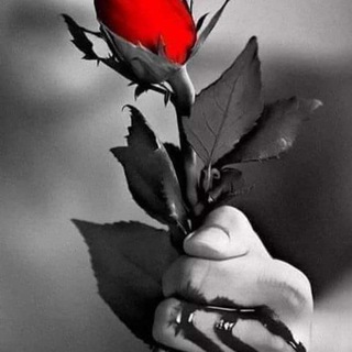 Логотип @dedicatoriasyamor - 🎀 𝒟𝐸𝒟𝐼𝒞𝒜𝒯🌺𝑅𝐼𝒜𝒮 𝒟𝐸 𝒜𝑀💞𝑅 𝒴 𝒜𝑀𝐼𝒮𝒯𝒜𝒟 🎀❤️💋✍🏻👩‍❤️‍👨💫🌙🌈