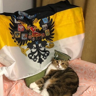 Логотип @dedovoochko - Дырка Деда ⬛️🟨⬜️