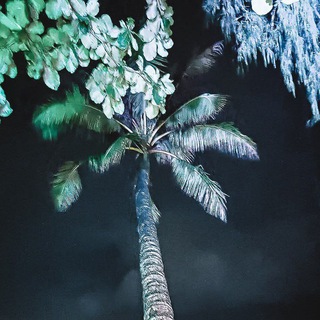 Логотип @deepfx - Deep