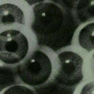 Логотип @def406 - Притон.