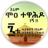 ሞዐ ተዋሕዶ / Mo'aa Tawaahido / MOA Orthodox