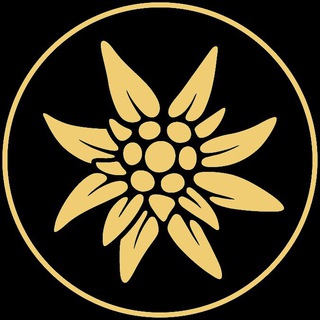 Логотип @defensa_evropea - DEFENSA-EVROPEA