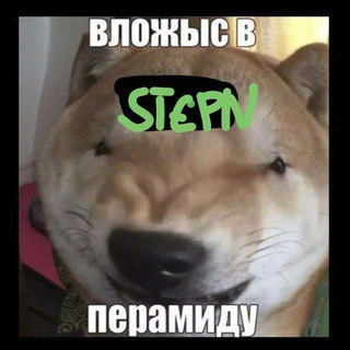 Логотип @degenkazakh - вип лудка казаха