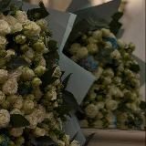 Логотип @deghcur - '