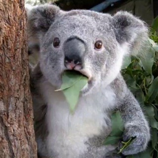 Логотип @degradation - Degradation