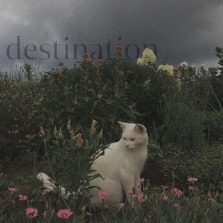 Логотип @dejjjavy - мeсто назначeния.||закрыто