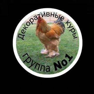 Логотип @dekkur - "Декоративные Куры"