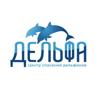 Логотип @delfacenter - Delfacenter