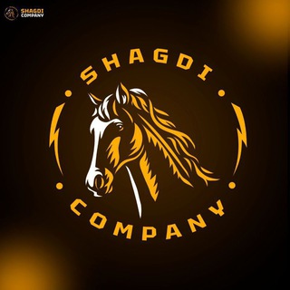 Логотип @demirmaryam004 - Мужская Обувь 🇹🇷