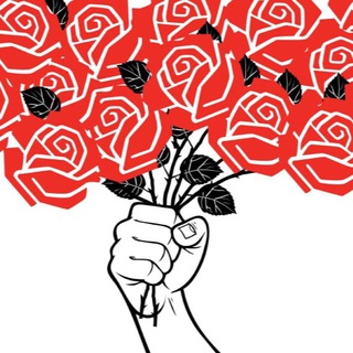 Логотип @democratic_socialistukraine - Демократичний соціалізм в Україні