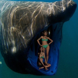 Логотип @demonicset - Бесовской комплект