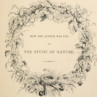 Логотип @denaturaillustration - De Natura - Biological Illustrations