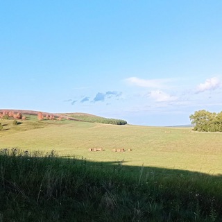 Логотип @dendy_club - пŐʎú₡ĶŐп