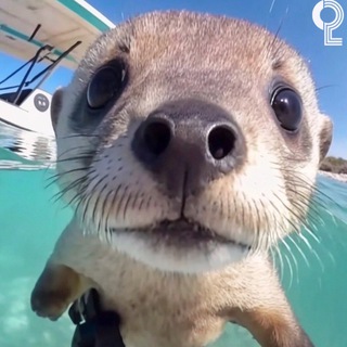 Логотип @deoki66 - Deoki66 - жизнь киберспортсмена