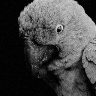 Логотип @depressed_design - Депрессив дизайн