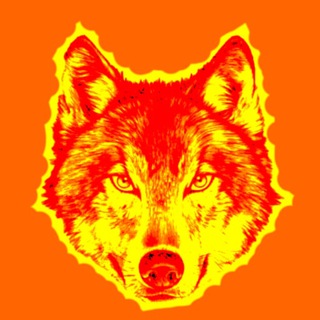 Логотип @der_sonnenwolf - Der Sonnenwolf