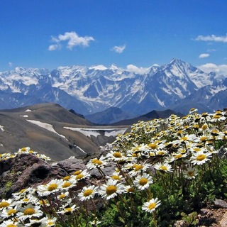 Логотип @derdigorer - Der Digorer