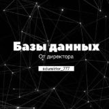 Логотип @derektor_data - derektor_data