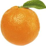 Логотип @derevo_apelsinovoe - Апельсиновое дерево🍊| Цветы, растения 🪴