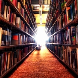 Логотип @derkolumnist - Der Kolumnist