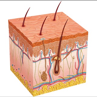 Логотип @dermavenerolog - Дерматовенерология