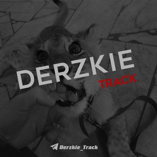 Логотип @derzkie_track - Dᴇʀᴢᴋɪᴇ | Tʀᴀᴄᴋ 🦅