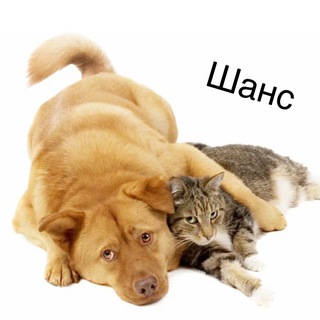 Логотип @derzu_kulachki - Срочники 🐶🐱