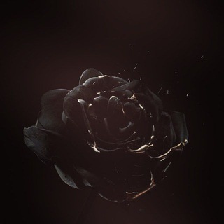 Логотип @desertrose_channel - Desert Rose | MUSIC Channel l Музыка l Клипы