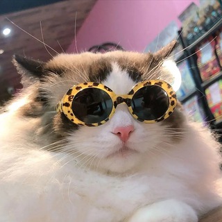 Логотип @design_memasiki - Мемы о дизайне, маркетинге и IT