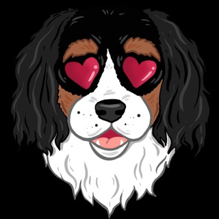 Логотип @design_money - Марафон - Заработок на дизайне