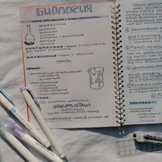 Логотип @design_notess - конспекты | оформление