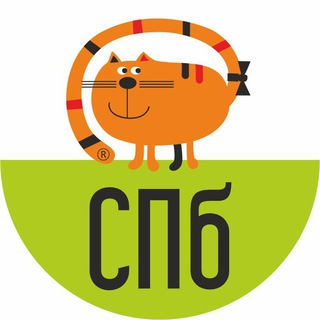 Логотип @designredcatspb - Школа Дизайна «Рыжий Кот» СПб