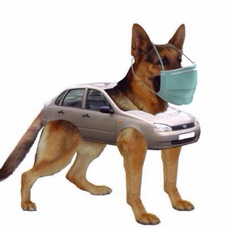 Логотип @designvokzal - дизайнвокзал