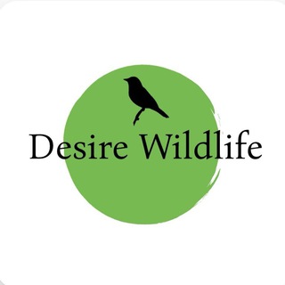 Логотип @desirewildlife - DESIRE WILD LIFE (ЖИВОТНЫЕ И ПРИРОДА)