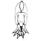 Логотип @detalov - detalov