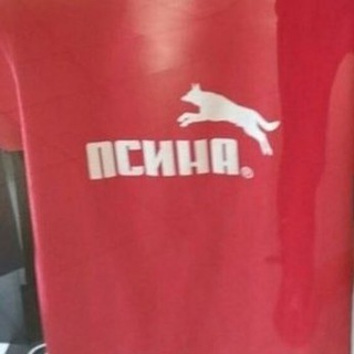 Логотип @detectordog - Детектор пса