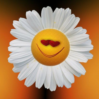 Логотип @detpsychology - Детский психиатр объясняет