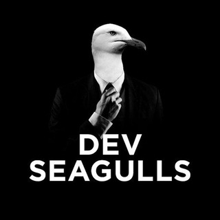 Логотип @dev_seagulls - Dev Seagulls Chat